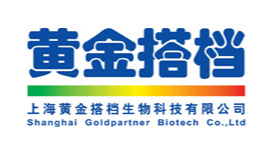 黄金搭档.png