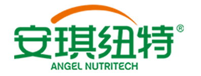 logo02_02.jpg